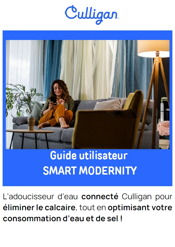 Guide Smart Modernity